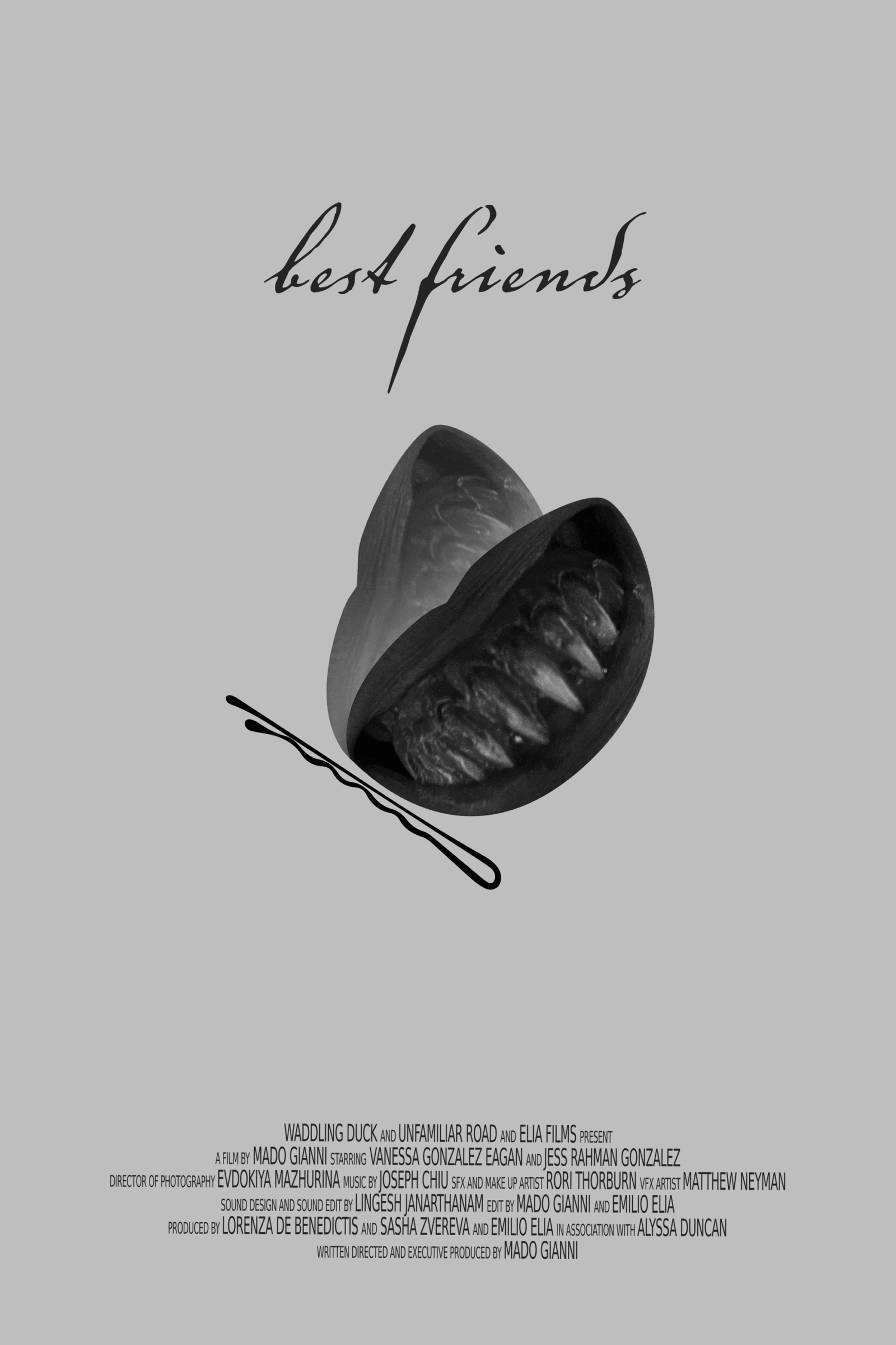 Poster Best Friends FINAL poster